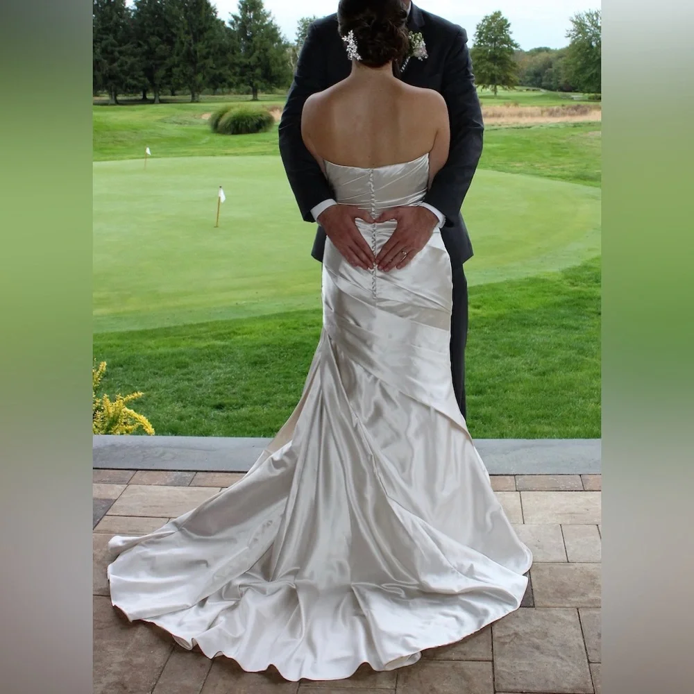 Pronovias Wedding Dress - Picture 5 of 8